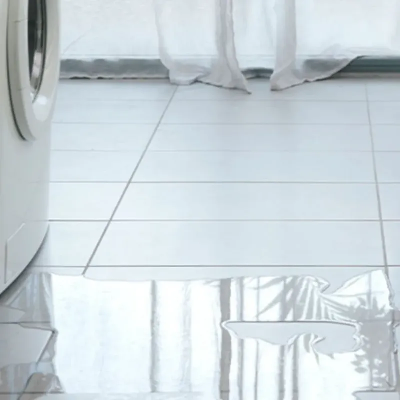 Appliance Leak Cleanup in Nevada, TX