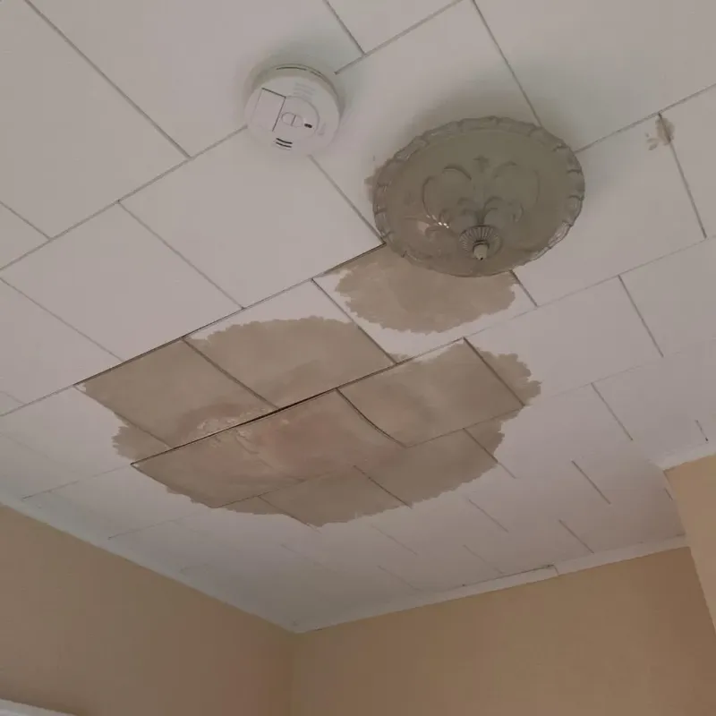 Ceiling Water Damage Repair in Nevada, TX