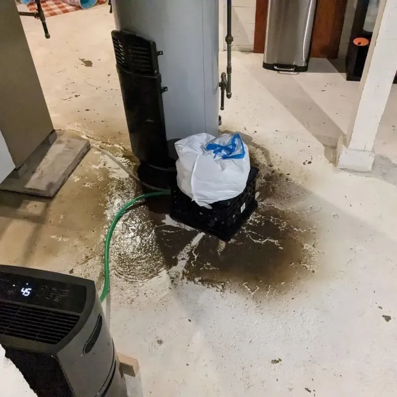 Sewage Backup Cleanup Service in Nevada, TX